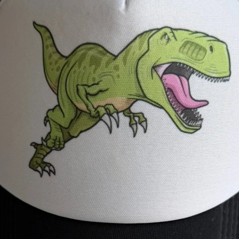 Boys Trucker Hat Dinosaur Graphic Black Mesh Back